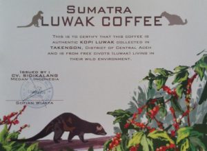 Certificado Kopi Luwak civetas en libertad