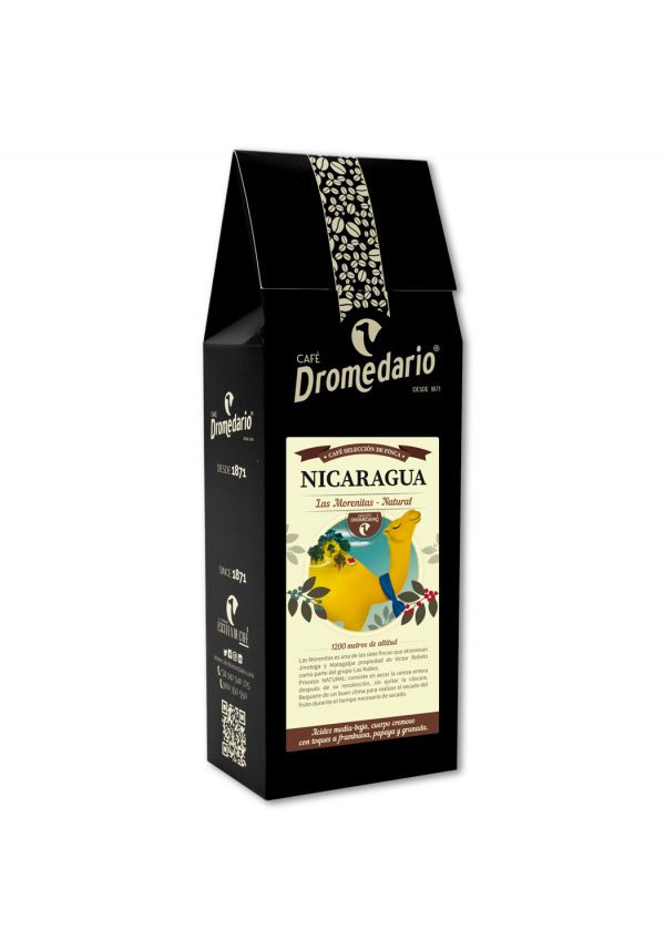 Dromedario Finca Seleccionada Nicaragua Las Morenitas Natural
