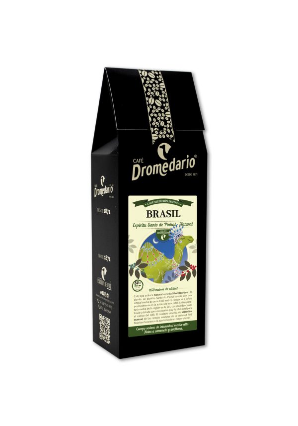 Dromedario Finca Seleccionada Brasil Espiritu Santo