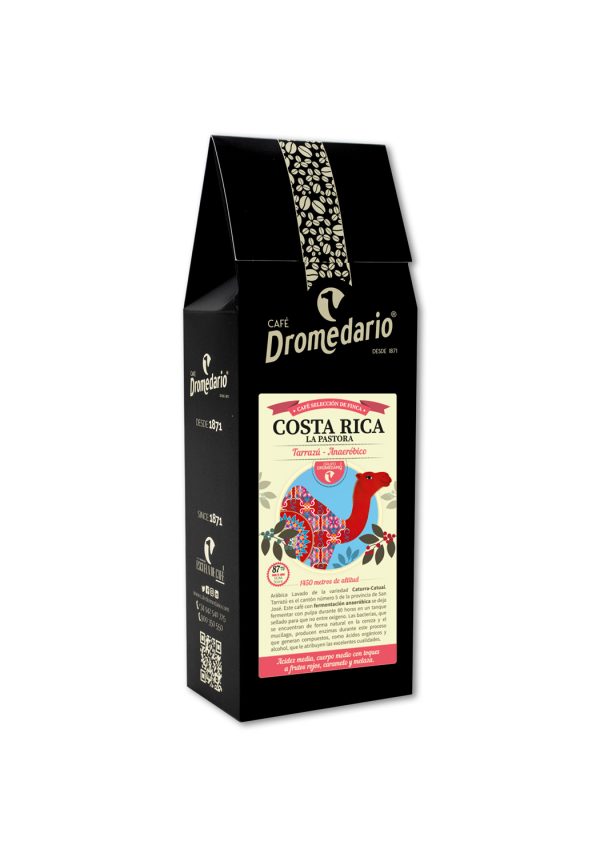 Dromedario Finca Seleccionada Costa Rica Tarrazú Anaeróbico